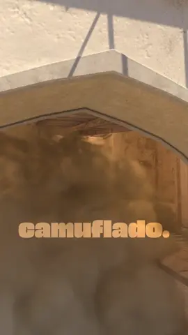 ela ainda existe...