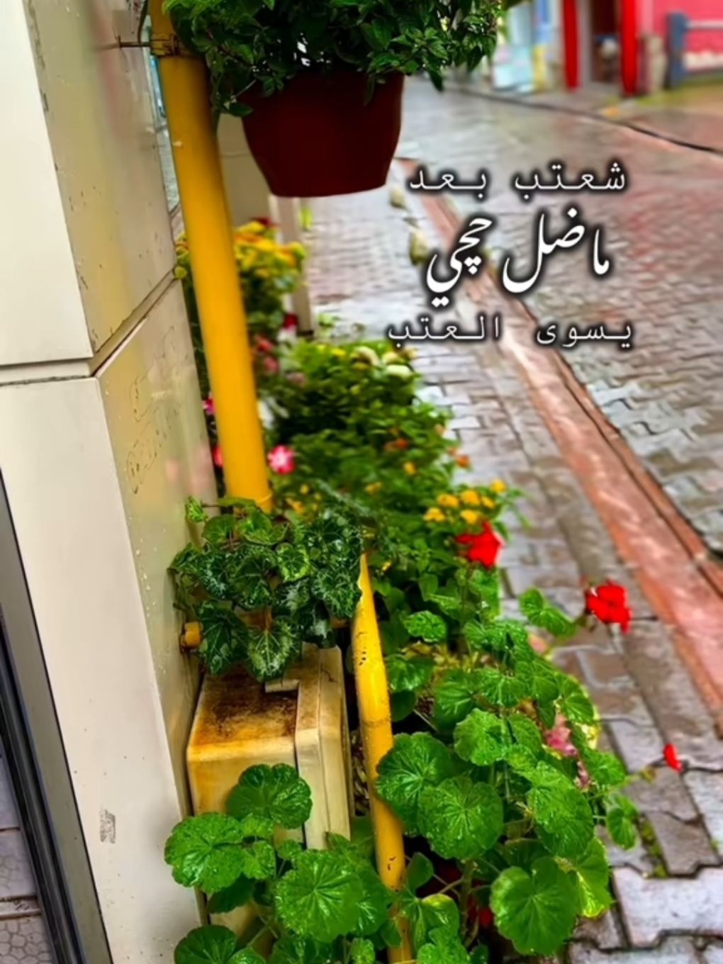 #شعتب_بعد_ماضل_حجي_يسوا_العتب #ستوريات #ابو_امير_الهاشمي 
