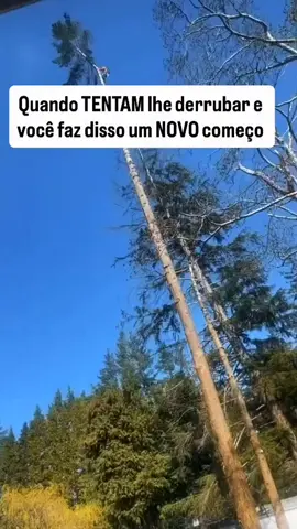 Quando tentam te derrubar e você faz disso um novo começo!  #Jesus #motivacional #mentalidade #prosperidade #resiliencia 