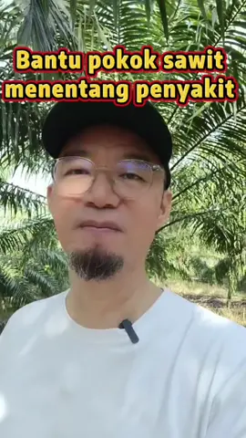 Macamana nak bantu pokok sawit menentang penyakit? #bajasawit #dafagro 