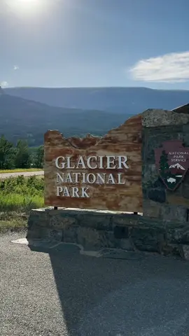 A trip to remember 🐏🫐🐻 #glacier #glaciernationalpark #mountaingoat #blackbear 