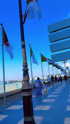 #algerie🇩🇿 #algerienne🇩🇿 #alger #bled #pourmoipourtoi❤ #algeria🇩🇿 #vaction #djazair🇩🇿 #ArabTikTok #algerienneجزائريات #pourtoipage #pourtoii 