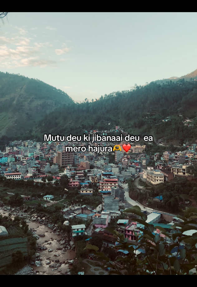 Vana k deu💜  Video:@chhoteyy  #xunar_hora #fypシ #contentcreator #mentionyourlove #foryoupage 