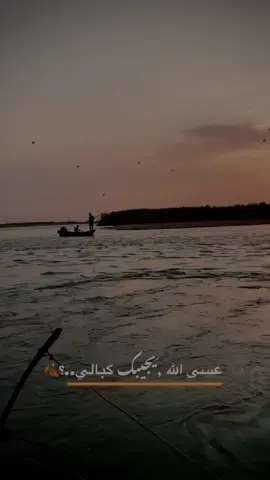 #ضاحي الاهوازي#الحود_الزاكه_سفينه_الحاج_علي_الزاكه_ #السفينة #گياره_جنوب_موصل #تصويري📷 #دقه4k🔥🔥 #صعدو_الفيديو #لايكات #اكسبلور #تصويري_احترافي_الاجواء👌🏻🕊😴 
