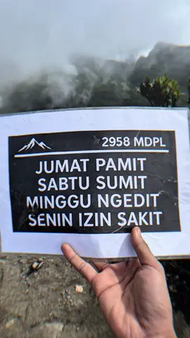 Selasa abis duit🗿#gedepangrango2958mdpl #gununggede #trendpendaki #alunalunsuryakencana #pendakigunung #jjpendaki #ninjagunung🥷🏻 #mountaingede 