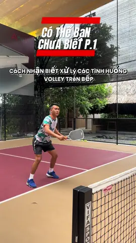 Có thể Bạn chưa Biết Mẹo volley trên vùng bếp pickleball , Cùng luyện tập cùng mình nhé #pickleball #pickleballhighlights #daypickleball #pickleballtiktok #xuhuongtiktok #zockerpickleball #Vdvzockerpickleball