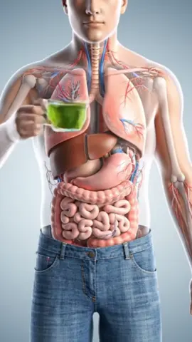 Green Tea 🍵 #fasting #doryoupage #foryoupage #odlysatisfying #satisfying #soda #greentea #ai #organ #human 