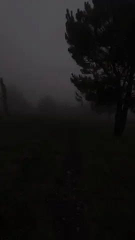 lost road. . . . #liminal #darkvibes #digitalcamera #realcore #vibes #fog #mood 