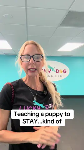#fyp #dogtrainer #dogtrainingmadesimple #DogTraining 