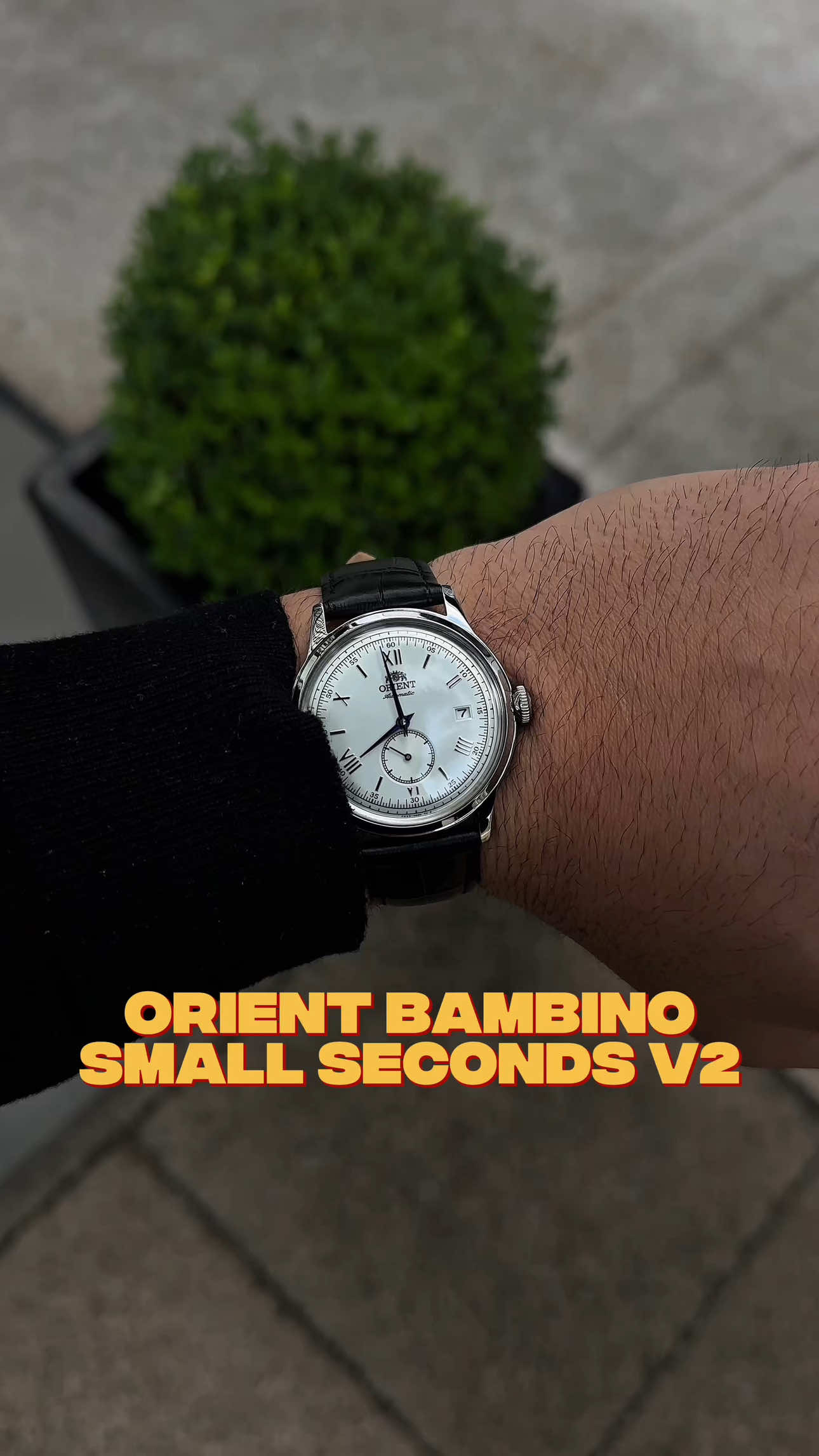 🕰️ O dress watch perfeito existe — e é japonês Esse é o Orient Bambino Small Seconds (RA-AP0104S30B), um relógio automático com estilo clássico, ideal pra quem curte elegância de verdade no pulso. 🍷 🔹 Mostrador com numerais romanos 🔹 Ponteiros azuis que elevam o visual 🔹 Movimento automático com fundo aparente 🔹 Vidro curvo estilo vintage 🔹 Small seconds pra dar aquele charme extra E o melhor: tá disponível lá na @Relojoaria Impala — usando o cupom relogiosnareal você ainda leva brindes exclusivos 🎁🔥 💬 Curte esse estilo mais clássico ou prefere algo moderno? Me conta aí nos comentários! #orientbambino #dresswatch #relogiosautomaticos #relogiosmasculinos #relogiosnareal #relogiojapones #orientwatch #watchtalk #watchlover #relogioclassico #watchstyle #automaticwatch #horologybrasil #relogiosdeverdade