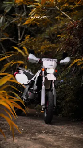 අවසානය 🥺🤍 #srilankan_tik_tok🇱🇰 #bjf4250 #BJF #dtracker250 #jassim_ameer_ #fypシ゚ 