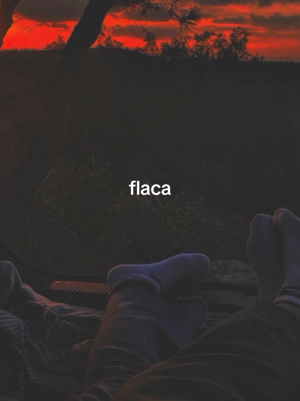 entre no me olvides... // flaca - Andrés Calamaro #calamaro #andrescalamaro #flaca #lirycs #rocknacional #musica #fyp #letras #argentina #2025 