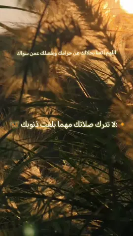 #صدقه_جارية #اكتب_شي_توجر_عليه #القرانالكريم #ادريس_ابكر #صلاه #الفجر #ربنا_اتنا_في_الدنيا_حسنه_وفي_الأخرة #الصلاه_هي_الحياه_حافظو_عليها🤍🌱 #القران_الكريم_راحه_سمعك_القران💙🎧 #قران_كريم_ارح_سمعك_وقلبك♡ #yo #foryou #اكسبلورexplore #fypシ #هاشتاقات #اخر_اشي_نسختو💭🥀 @مسلم | من الرمادي 📚 @سعد العتيق🌴 @سعد الغامدي @قـرآن♡𝐐𝐮𝐫𝐚𝐧 @جـ༈ۖ҉ـؤُفـ༈ۖ҉ـ آلَلَيـ༈ۖ҉ـلَ🦋 