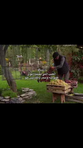 شرط كليوميه🫸🏻🤦🏻‍♀️#الشعب_الصيني_ماله_حل😂😂😂 #مالي_خلق_احط_هاشتاقات🦦 