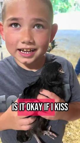 So amazing to see how much our animals enjoy the visitors. We love seeing the kids learn to interact with them. #animalstory #pets #animalsoftiktok #kids #animaltok #furryfriends #featherfriends #birds #chickens #ducks #pig #camel #horse #donkey #creatorsearchinsights 