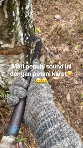 Gas lur#fyp #petanimuda #karet 