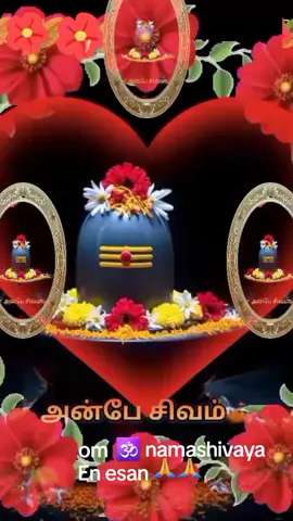 #om namashivaya #🙏🏻🙏🏻🙏🏻🙏🏻🙏🏻🙏🏻🌹🌹🌹🌹🌹🌹🥀🥀🥀🥀🥀🥀🥀🍀🍀🍀🍀🍀 #