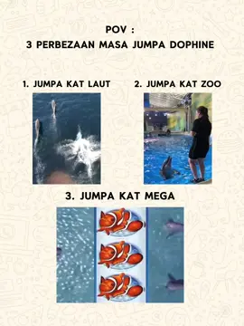 3 Perbezaan masa jumpa dophine 🐬  #fypgame #viralvideo #videoviral #kontenhiburan #tiktokmalaysia🇲🇾 #masukberanda #masukfyp #viralmalaysia #foryoupage 