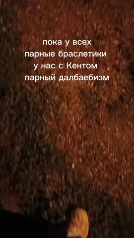 #нумы #ттсьелкачество 