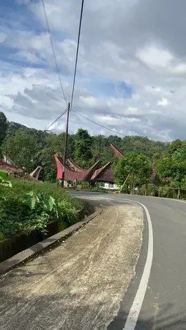 Toraja 📍✨🍃#fypシ゚viral #torajasulawesiselatan #tanatoraja #torajapride🏝️💥 