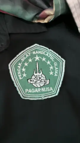 CINTA INI ABADI☺️#pagarnusa86💚🔱 #fyp 