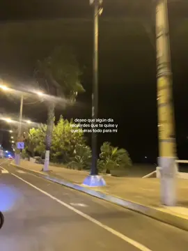 🗣️ #salsa #partedemivida #fypシ゚ #playa #salinas 