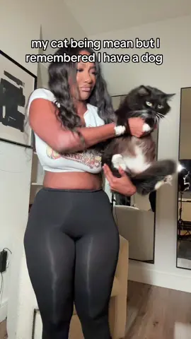 #petmom #catsoftiktok #dogsofttiktok #fyp 