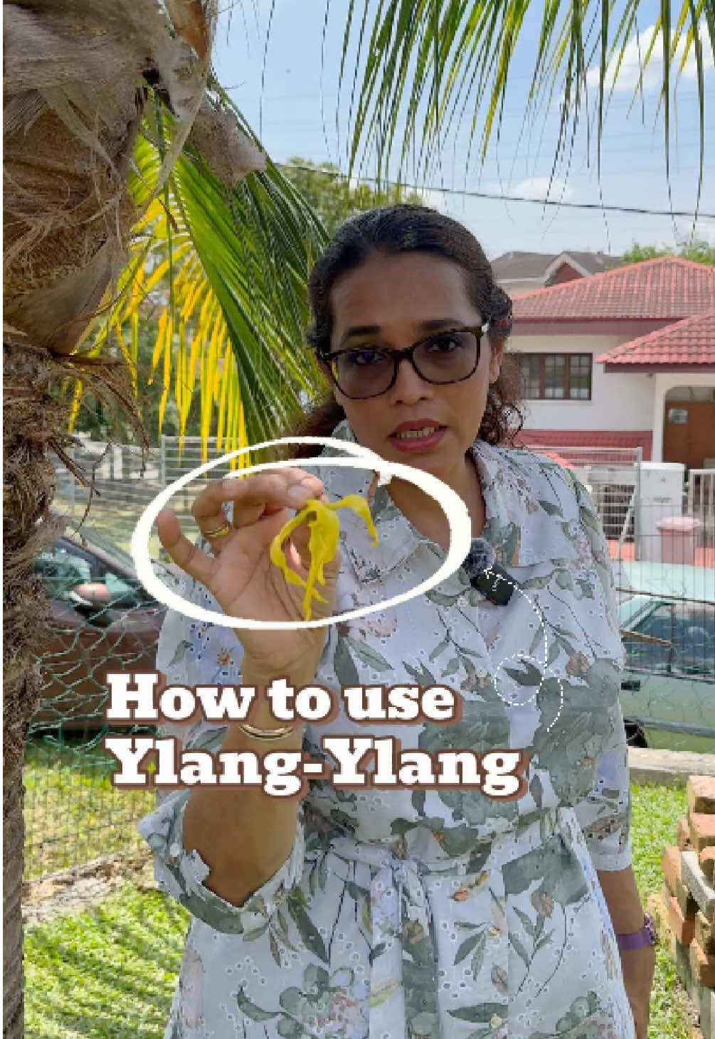 🌸 Ylang Ylang – Sweet, Floral, and Oh-So-Calming 🌸 We love using Ylang Ylang essential oil for its relaxing aroma perfect for diffusing after a long day or adding to homemade skincare for that natural floral touch. It’s a go-to for lifting moods and soothing stress! 💆‍♀✨ BUT – did you know Ylang Ylang can be harmful to pets if ingested? 🐾 Please keep it out of reach from your furry friends! ⚠ Disclaimer: This post is for informational purposes only and not intended as medical advice. Always consult with a certified aromatherapist or healthcare provider before using essential oils. #EssentialOils #NaturalWellness #Aromatherapy #HolisticHealth #kddgarden