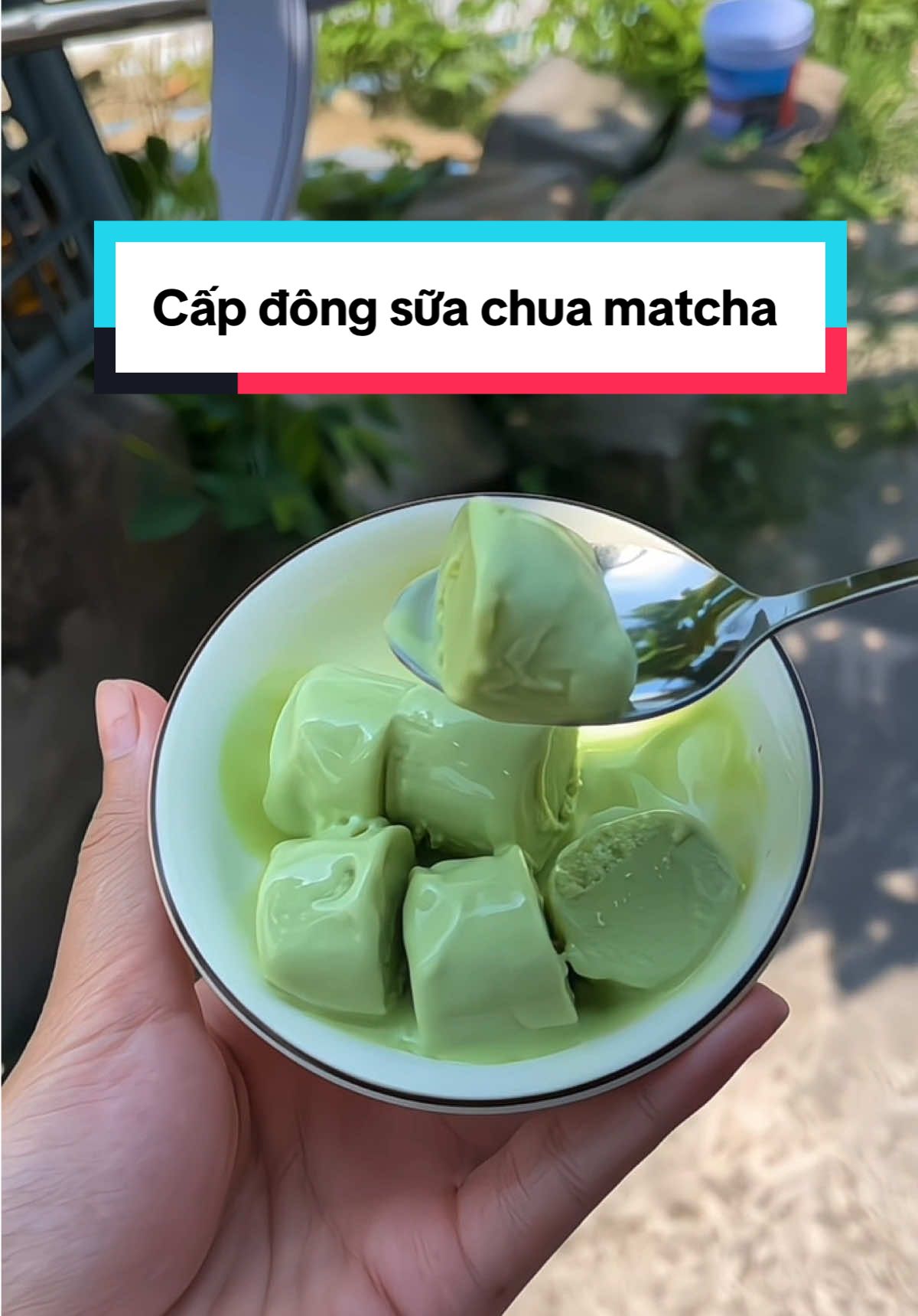 Sữa chua Matcha thanh mát, cắn một miếng là tan chảy ngay trong miệng🥰😍#mlem #suachua #cachlamsuachua #suachuadeo #suachuakinhdoanh #xuhuong #suachuatuimixvi #matcha #suachuamatcha 