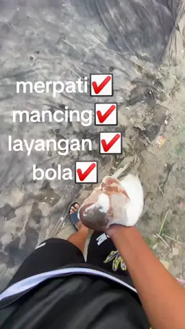 #merpatikolong 
