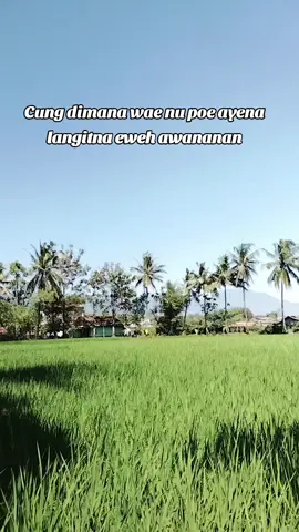 no epek ie mah#padesaanendahh #xvzbca #persibbandung #explorepage #pyfツ #lewatberandafypシ 