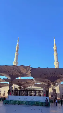 #foryoupage #viral #madinah 