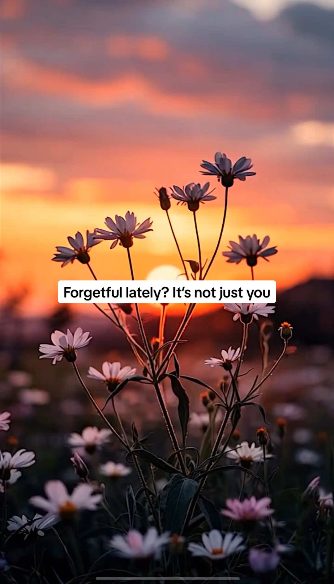That fuzzy-headed feeling? The forgetfulness? It’s not a failing – it’s your hormones shifting Support your brain health naturally during midlife 🧠 Tap the link in bio to learn what helps #perimenopause #brainfog #womenover40 #hormonesupport #CapCut 