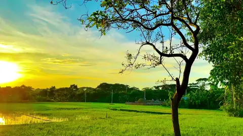 এই দুনিয়ার জীবনটা ধোঁকা_🙂💔 #foryou #unfrezzmyaccount #islamic_video #foryoupage #আবু_ত্বহা_মুহাম্মদ_আদনান #fypシ 