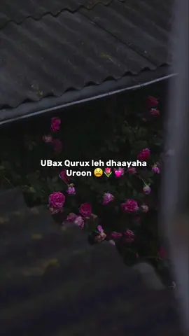 Ubax qurux leh dhaayaha Uroon😭🌷#nasiib🦋🦕 #somalitiktok🇸🇴 #viralvedio 