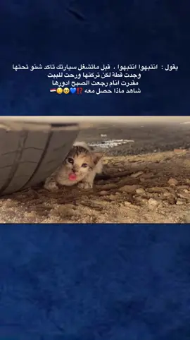 يقول :  انتبهوا انتبهوا ،  قبل ماتشغل سيارتك تاكد شنو تحتها وجدت قطة لكن تركتها ورحت للبيت  مقدرت انام رجعت الصبح ادورها شاهد ماذا حصل معه ⁉️💙🥺🤤🇮🇶