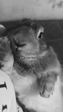 te extraño todos los días mi gordito🤍