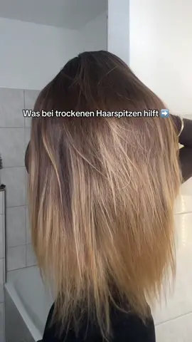 Pflege so deine Haarspitzen, damit diese nicht mehr trocken sind ✨ #haare #haarpflege #haarpflegetipps #hairtok #gesundehaare #kaputtehaare #frizzyhair #spliss #frizz #trockenehaare  #creatorsearchinsights 