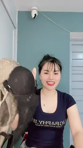 Chốt đi cac c#xuhuongtiktok #đôlotnu 
