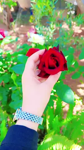 #تركت_ظنون_الناس_عني_ورأيهم🖤🦋 #fypシ 
