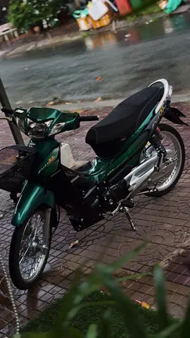 ✨💚  #Future2 #xuhuongtiktok #Honda #fyp #viral #xh 