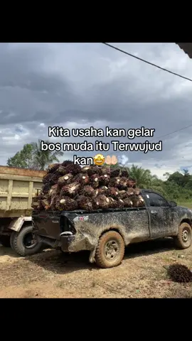 🥹🤲🏻 ##fyp, #foryoupage, #foryou, #viral#sawitkalimantan 