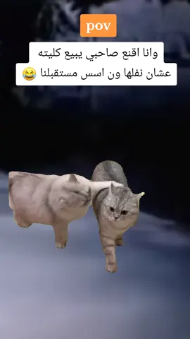 #Meme #MemeCut #CapCut #fypシ وانا اقنع صاحبي يبيع كليته#😂😂😂 #الشعب_الصيني_ماله_حل😂😂 