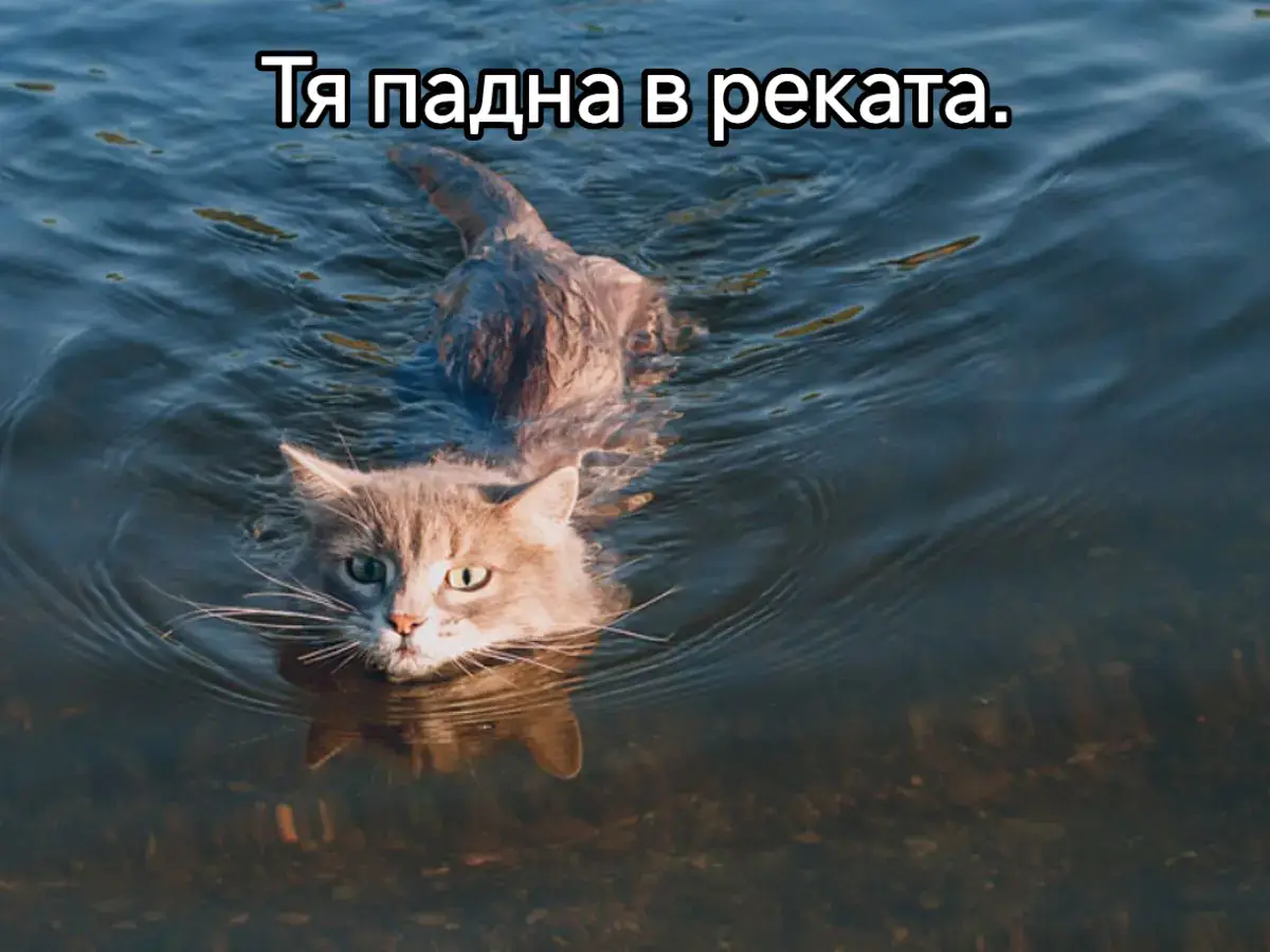 #yourpageforyou #yourpage_foryupage #tiktokviral #fypシ゚ #yourpage #yourpages #fypシ゚viral #foryourpage #fypシ #fypage #fypp #foryoupageofficiall #yourpagetiktok #fyp 