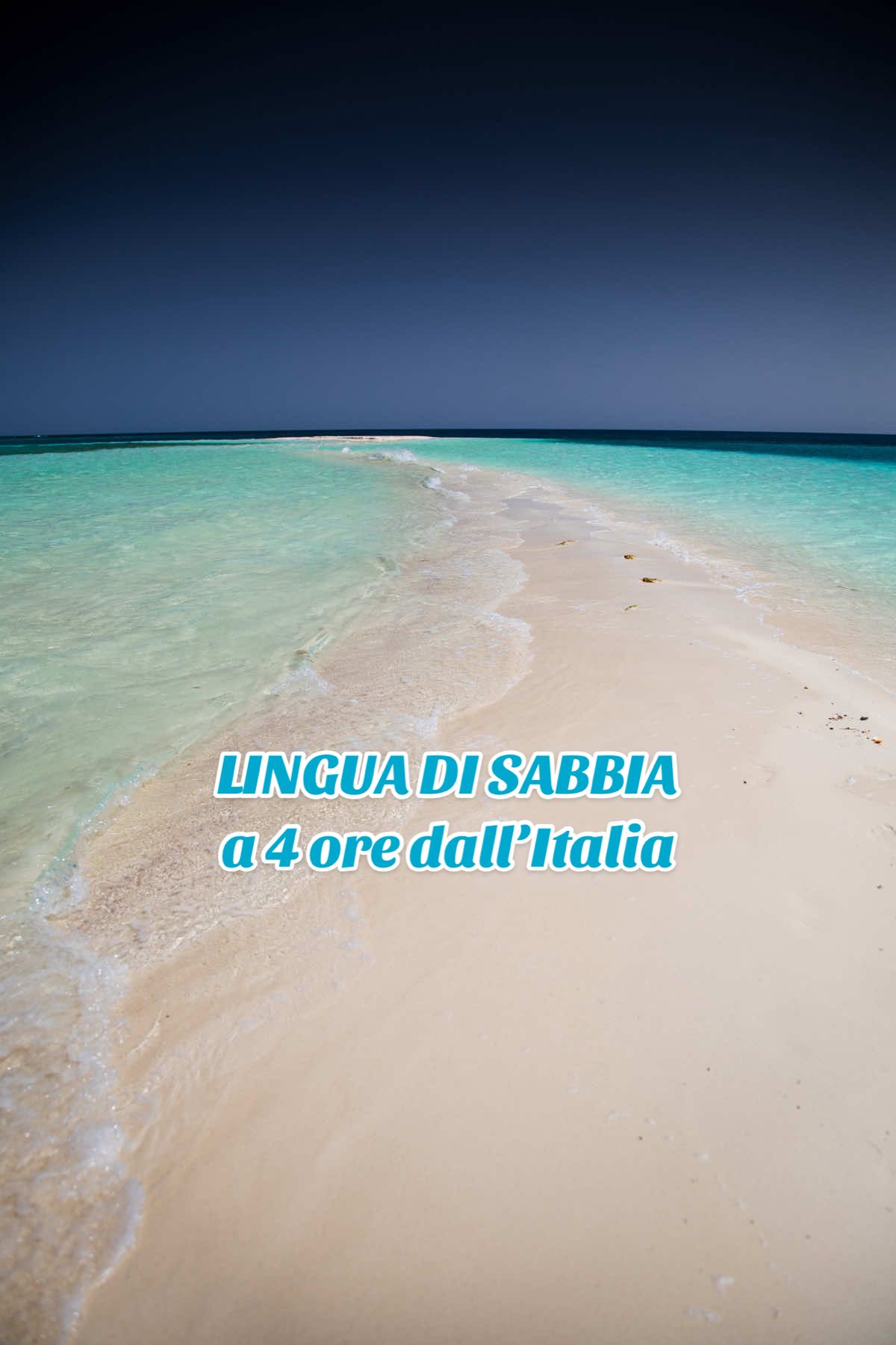 LINGUE‎‎ DI‎‎ SABBIA‎‎ A‎‎ 4‎‎ ORE‎‎ DALL’ITALIA‎‎ e‎‎ SENZA‎‎ PASSAPORTO‎‎ 😍😱💙 ⁣⁣📌Da‎‎ salvare📌 ⁣⁣ ⁣Le‎ Maldive‎ sono‎ bellissime,‎ ma‎ non‎ alla‎ portata‎ di‎ tutti‎ e,‎ soprattutto,‎ non‎ l’unico‎ paradiso‎ al‎ mondo! ⁣⁣ ⁣⁣❗️Marsa‎ Alam‎ regala‎ scenari‎ unici‎ e‎ un‎ reef‎ coloratissimo,‎ a‎ 4‎ ore‎ di‎ volo‎ dall’Italia‎ e‎ senza‎ passaporto! ⁣ ⁣💰Parlando‎ di‎ soldi:‎ l’Egitto‎ è‎ molto‎ più‎ economico‎ rispetto‎ le‎ Maldive‎ e‎ si‎ riesce‎ a‎ partire‎ anche‎ con‎ soli‎ 500€‎ a‎ testa,‎ tutto‎ incluso! ⁣ ⁣👉‎ In‎ realtà‎ anche‎ con‎ meno,‎ ma‎ magari‎ la‎ struttura‎ scelta‎ non‎ è‎ proprio‎ il‎ top. ⁣⁣ ⁣ ⁣⁣📍Ma‎‎ dove‎‎ eravamo‎‎ qui?‎‎ 🤔 ⁣⁣ ⁣⁣🏝️‎‎ Questea‎ che‎‎ vedi‎‎ è‎‎ la‎ lingua‎ di‎‎ sabbia‎‎ delle‎‎ isole‎‎ del‎‎ Parco‎‎ Naturale‎‎ del‎‎ Wadi‎‎ El‎‎ Gemal,‎‎ raggiungibili‎‎ partendo‎‎ dal‎‎ porto‎‎ di‎‎ Sharm‎‎ El‎‎ Luli‎ con‎ una‎ gita‎ in‎ barca. ⁣ ⁣⚠️Si‎ può‎ passeggiare‎ solo‎ su‎ questa‎ lingua,‎ il‎ resto‎ dell’isola‎ è‎ interdetto,‎ per‎ ragioni‎ di‎ tutela. ⁣⁣ ⁣⁣🐬‎‎ E,‎‎ se‎‎ si‎‎ è‎‎ fortunati‎‎ è‎‎ anche‎‎ possibile‎‎ incontrare‎‎ i‎‎ delfini‎‎ e‎‎ nuotare‎‎ con‎‎ loro! ⁣⁣ ⁣⁣🛥️‎ Per‎ questa‎ meraviglia‎ parte‎ una‎ sola‎ barca‎ al‎ giorno‎ con‎ massimo‎ 20‎ persone:‎ ti‎ consiglio‎ di‎ rivolgerti‎ a‎ @mohamed.hagag‎ (lo‎ trovi‎ su‎ IG),‎ una‎ guida‎ locale‎ che‎ parla‎ perfettamente‎ l’italiano‎ e‎ che‎ ti‎ farà‎ scoprire‎ questo‎ e‎ tanti‎ altri‎ luoghi‎ con‎ immensa‎ passione!‎  ⁣ ⁣ ⁣📕E‎ se‎ desideri‎ organizzare‎ il‎ tuo‎ viaggio‎ e‎ avere‎ tutte‎ le‎ info,‎ trovi‎ la‎ mia‎ GUIDA‎ DIGITALE‎ tra‎ i‎ miei‎ link‎ in‎ bio!📕 ⁣⁣ ⁣⁣ ⁣⁣ ⁣⁣ ⁣⁣ ⁣⁣Viaggiare‎‎ |‎‎ Destinazioni‎‎ |‎‎ Snorkeling‎‎ |‎‎ Diving‎‎ |‎‎ Spiaggia‎‎ |‎‎ Mare‎‎ |‎‎ Maschera‎‎ e‎‎ boccaglio ⁣⁣ ⁣⁣#Egitto‎‎ #marsaalam‎‎ #Berenice‎‎ #marrosso‎‎ #redsea‎‎ #snorkeling‎‎ #diving‎‎ #sandbank‎‎ #viaggio‎‎ #turismo‎‎ #viaggiare‎‎ #travel‎‎ ‎#linguadisabbia‎ #sanbank‎ #destinazioni‎ #turismo‎ 