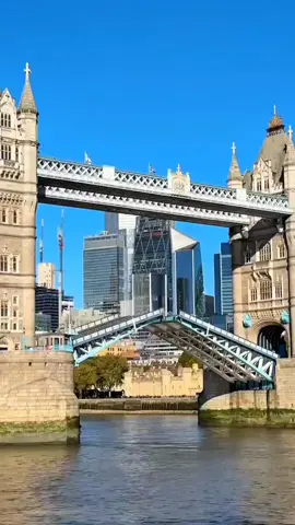 You have to come to London at least once. Feel the wind along the Thames, walk across the Tower Bridge, and stop under Big Ben to feel the romance of London. 🇬🇧🌉❤️🫶🌟💫😍🍁⭐  #London , #BigBen , #TowerBridge , #WorldTravel , #londontravel , #uktourism , #londonadventures , #traveltips , #daytripideas #creatorsearchinsights 