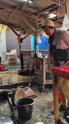 Tukang ayam galak #fyp #jawaserang #cilegon #komedi #jaseng #boim 