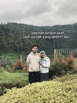 arek kapal 