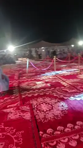 عندما ابدع الرشيد ولد الميداح في مهرجان الشامي 