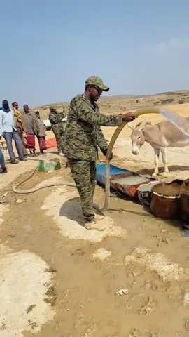 Ceelka Magaalada Dhaadaar oo dad iyo xoolaba ka cabayaan Alxamdulilaah 🤲 Maalmo wacan 🫂 #somalitiktok #gacankaqandala #puntlander🇸🇱 #dhaadaar #backtohome #calmiskaad #hawlgalkahillaac #vedioviral #hellotiktok #fyp #militarylife #foryoupage❤️❤️ #puntlandarmy🇸🇱🇺🇿🇸🇴 